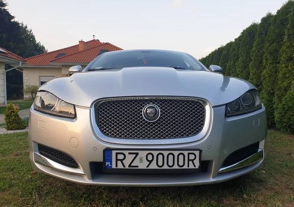 Jaguar XF cena 58000 przebieg: 65000, rok produkcji 2013 z Rzeszów małe 254